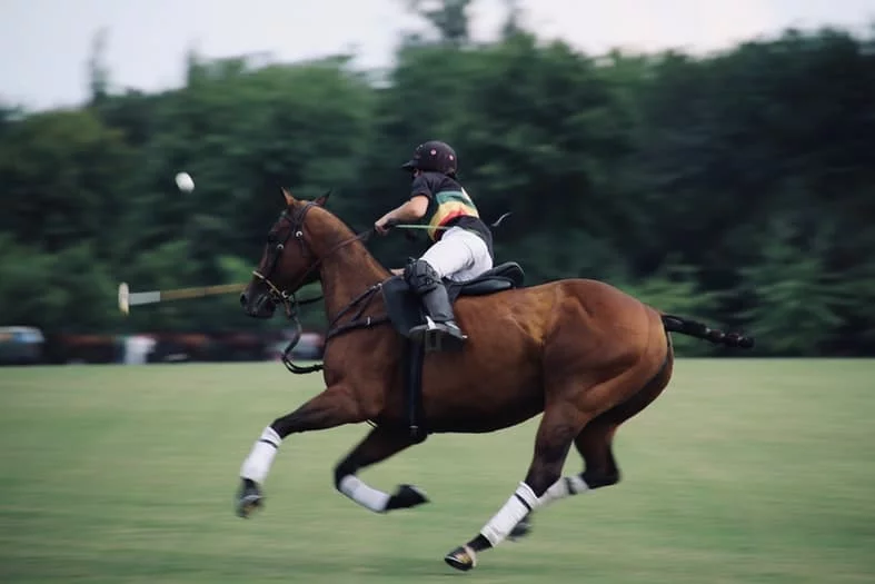 a man riding a brown horse on a grass court